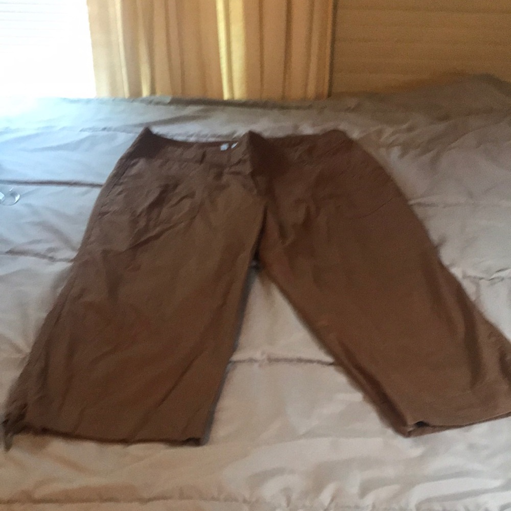 Size 16 Brown IZOD Capri pants